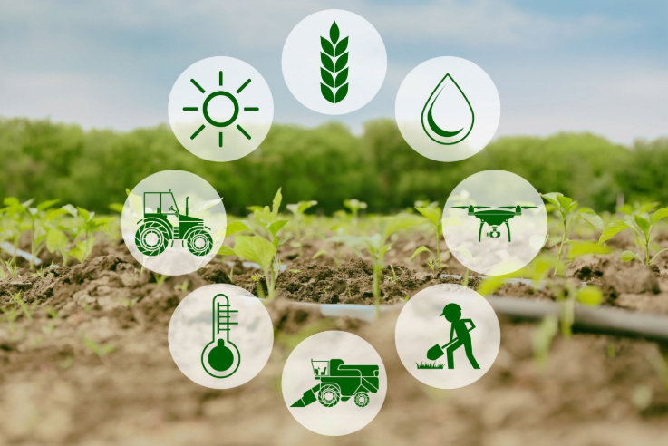 The Role of Technology in Smart Farming