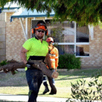 Why Choosing the Right Tree Removal Company Matters for Property Safety