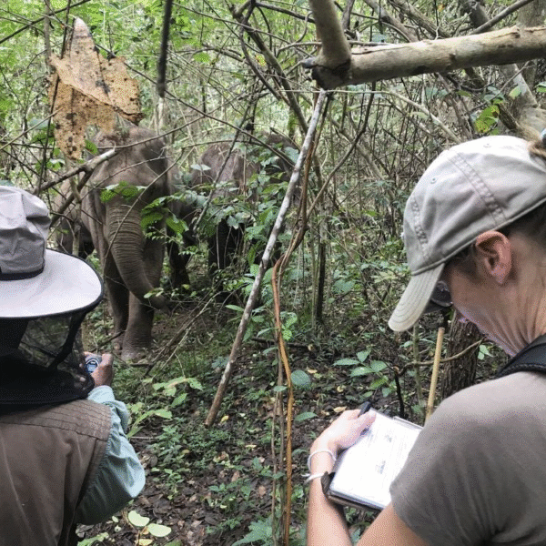Eco Tourism and Adventure Hunting Opportunities