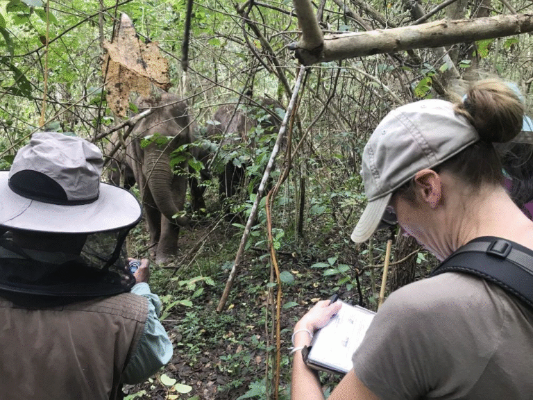 Eco Tourism and Adventure Hunting Opportunities
