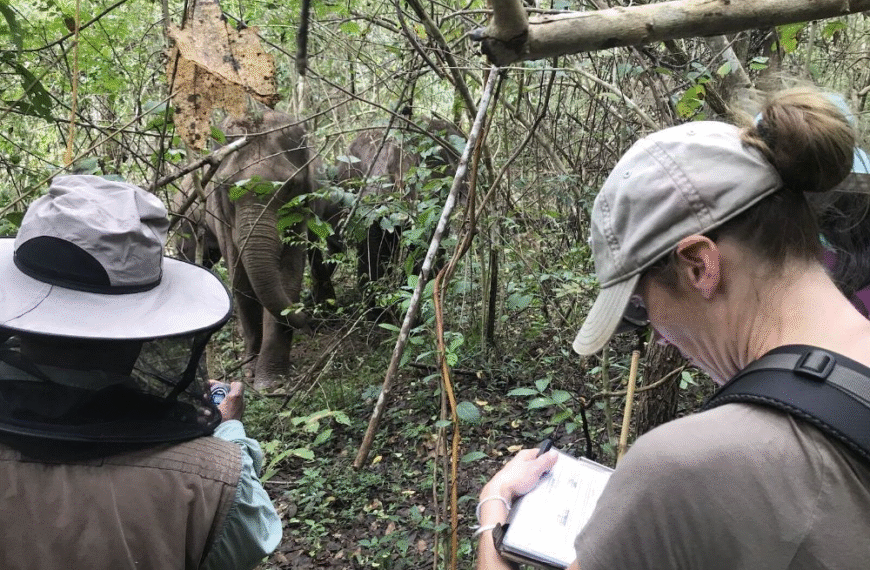 Eco Tourism and Adventure Hunting Opportunities