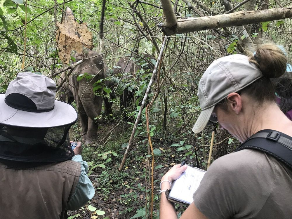 Eco Tourism and Adventure Hunting Opportunities