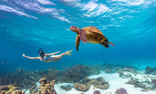 Ultimate Guide to Perth to Broome Tours